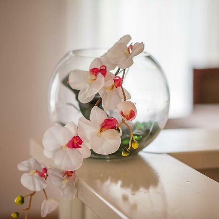 Beljan Apartments كرك المظهر الخارجي الصورة